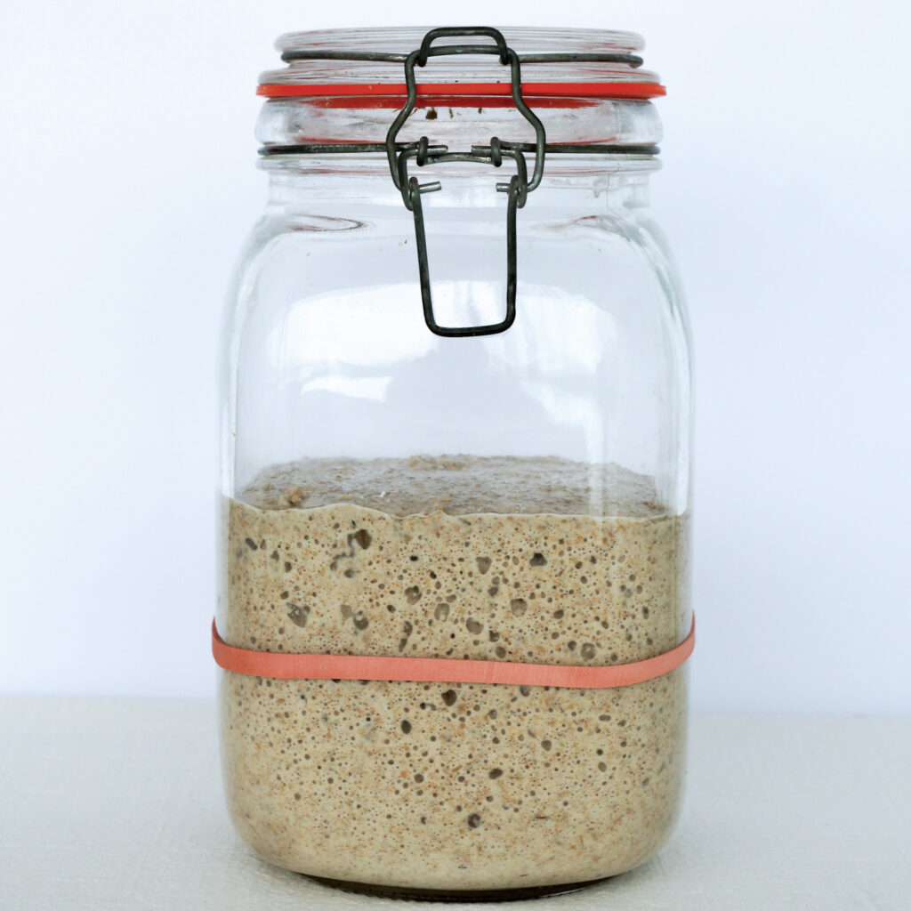 Rye sourdough starter