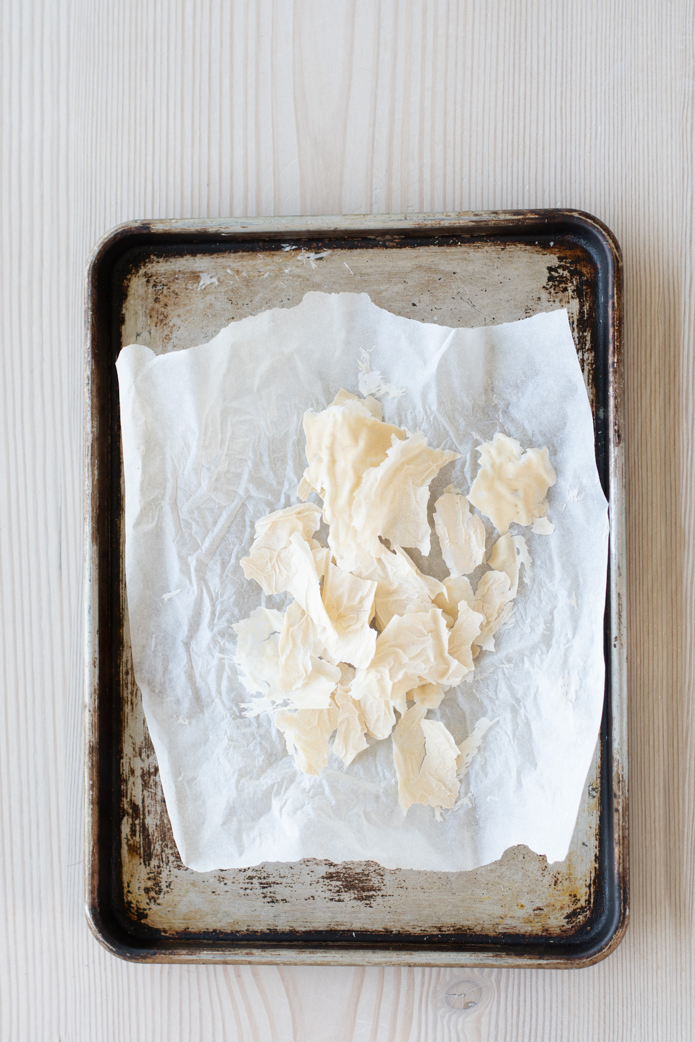 Sourdough starter
