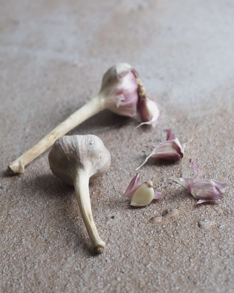 Wet Spring Garlic