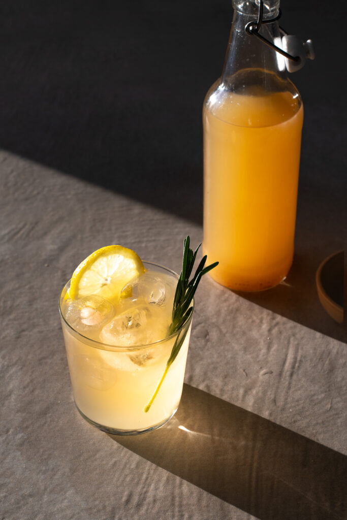 Spicy Ginger Switchel